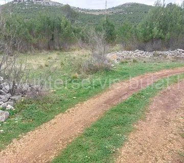 .::: Dubrava, građevinsko zemljište 3.928m2 na osami :::. - cover