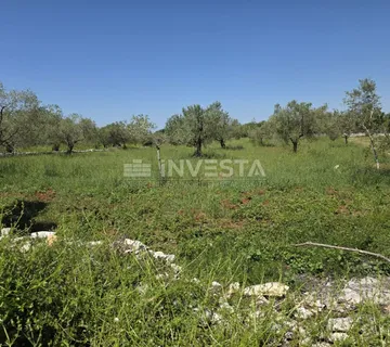 Okolica Fažane, prostrano i uredno poljoprivredno zemljište - Peroj, Vodnjan