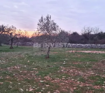 Poljoprivredno zemljište u Vodnjanu blizu ipsilona