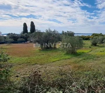 Fažana, maslinik s pogledom na more, 300 m od plaže