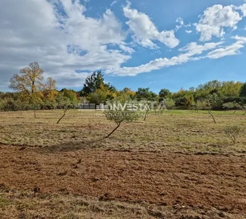 Okolica Svetog Lovreča, maslinik 13300 m2 - cover