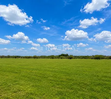 Fažana, poljoprivredno zemljište 4.000 m², idealno za maslinik