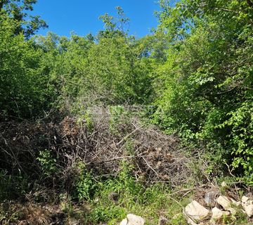 Poljoprivredno zemljište - 400m od mora - cover