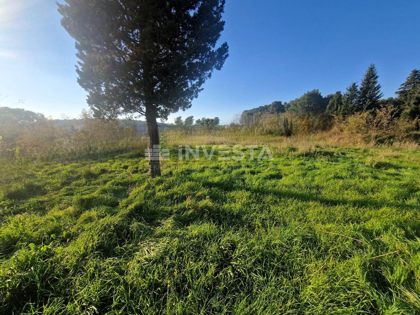 Fotografija