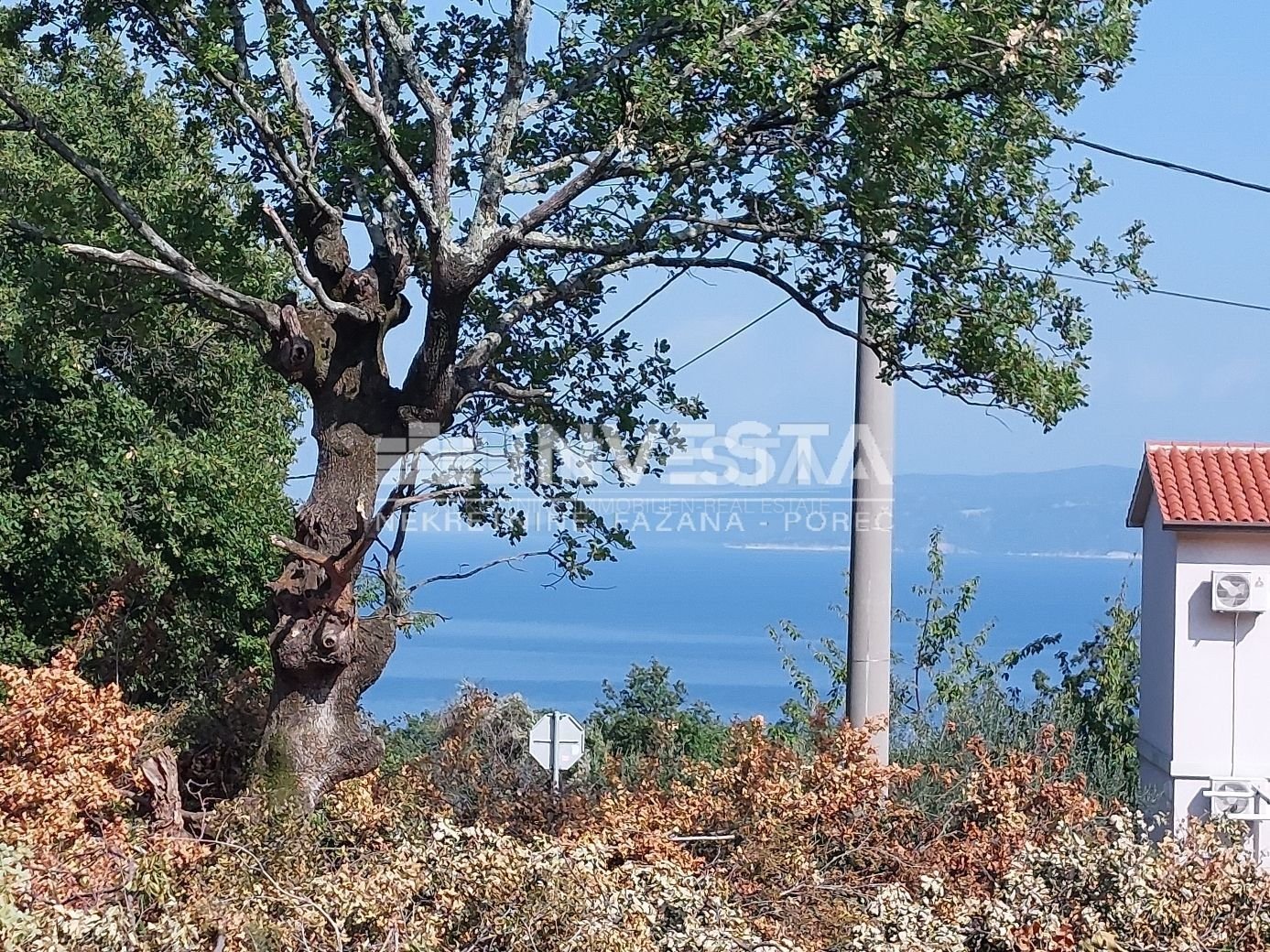 Fotografija