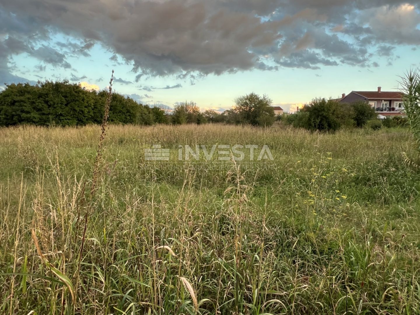 Fotografija