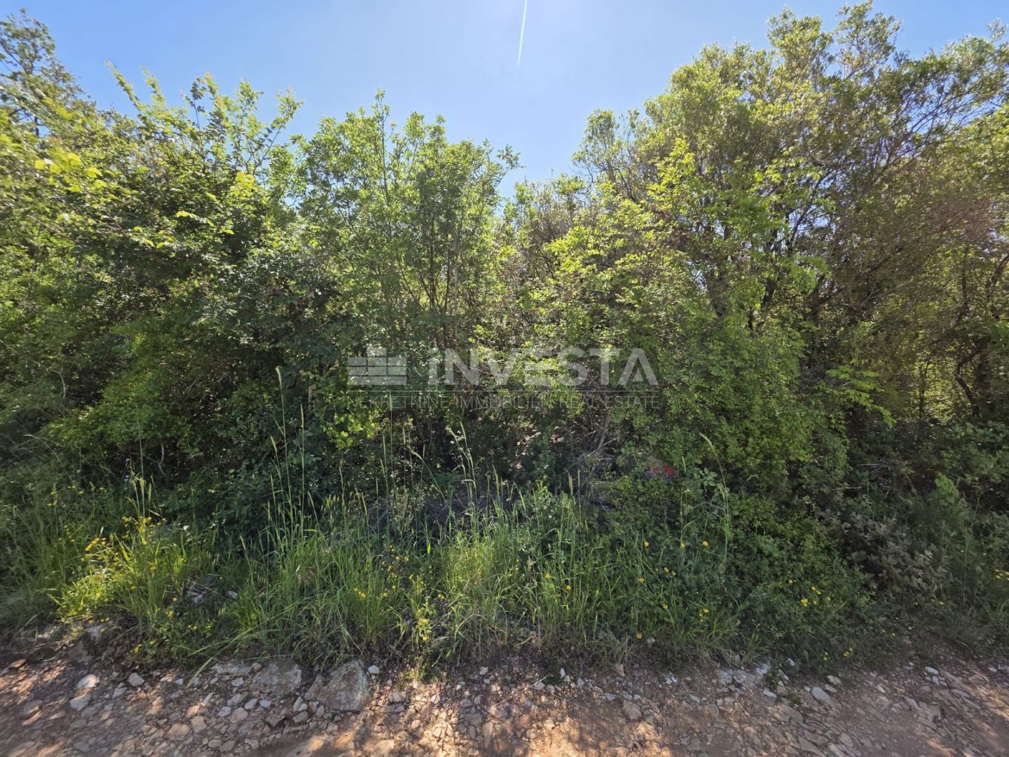 Fotografija