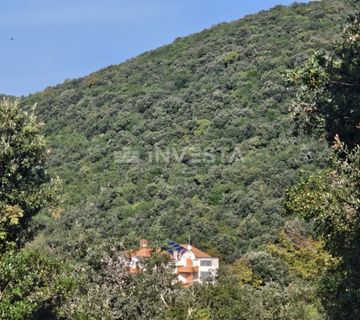 Krnički Porat, šuma 200m od mora i 40m do urbanizirane zone - cover