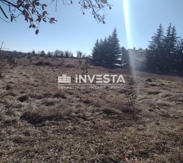 Višnjan okolica, građevinsko zemljište 5.000 m2 - cover
