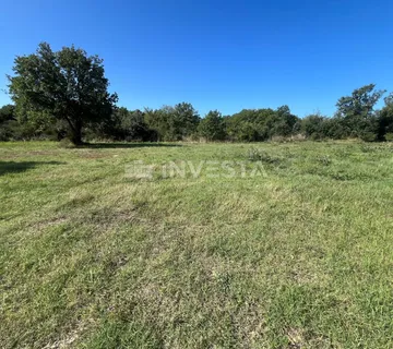 Peroj, više poljoprivrednih zemljišta po 500 m² - Peroj, Vodnjan