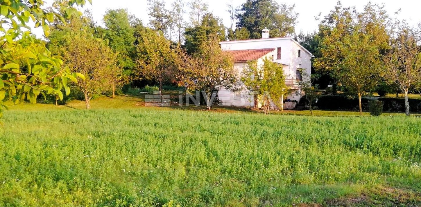 Fotografija