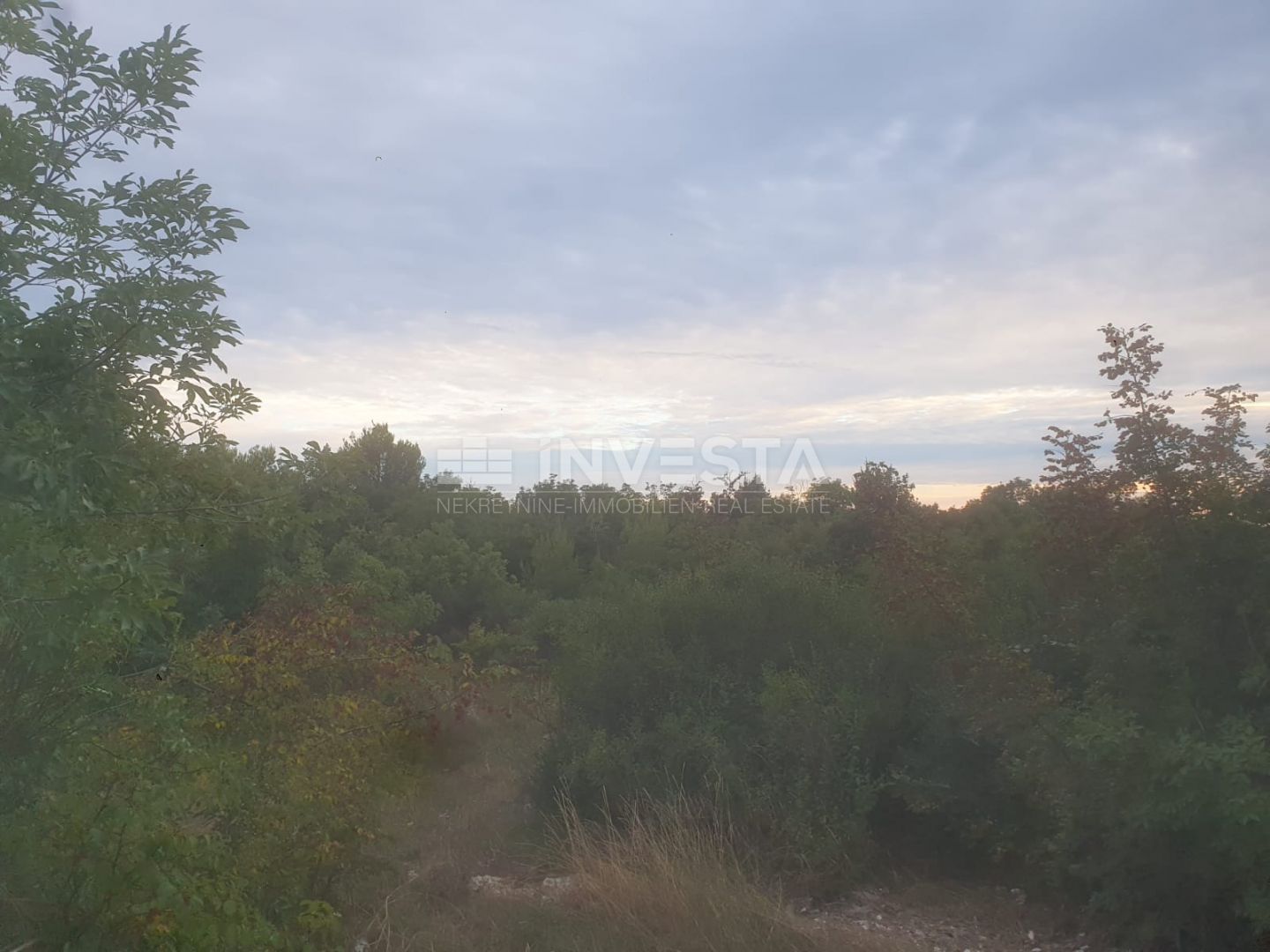 Fotografija
