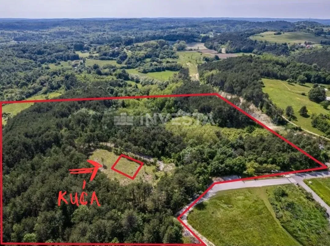 Veliko imanje s građevinskom dozvolom za kuću u okolici Pazina - cover