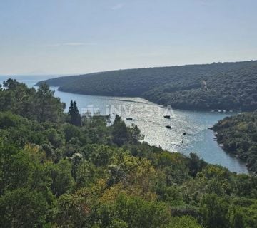 Krnički Porat, šuma 200m od mora i 40m do urbanizirane zone - cover