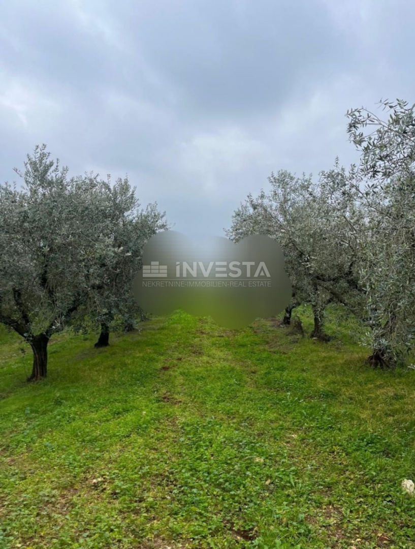 Fotografija