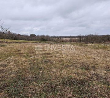 Žminj, prostrano građevinsko-poljoprivredno zemljište, 15.258 m2 - cover