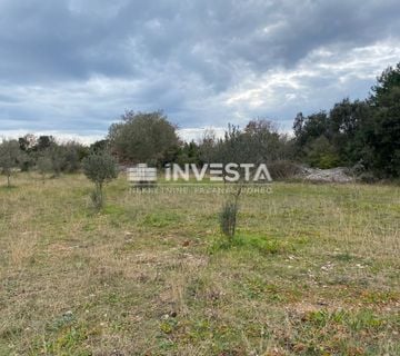Fažana, maslinik 2400 m2 - cover