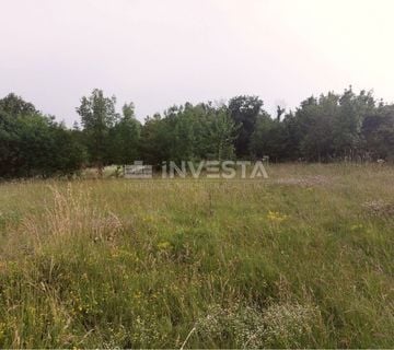 Tinjan, građevinsko zemljište 3197 m2 + 971 m2 poljoprivredno - cover