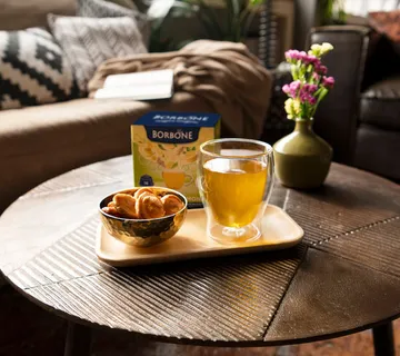 Borbone ZENZERO LIMONE biljni čaj od korjena đumbira i limuna - cover