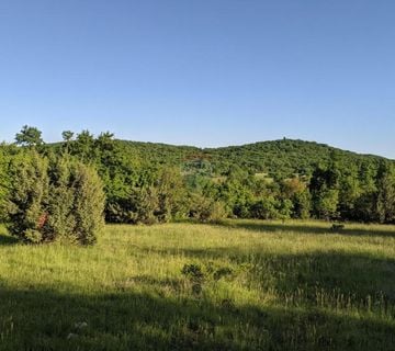 Istra, Bale - poljoprivredne parcele razne površine - cover