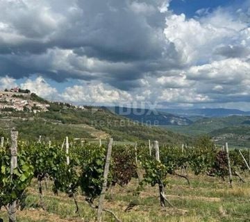 ISTRA, MOTOVUN - Prostrano građevinsko zemljište - cover