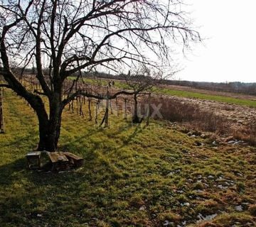 ISTRA, SV.KIRIN - Građevinsko zemljište u Sv. Kirinu - cover