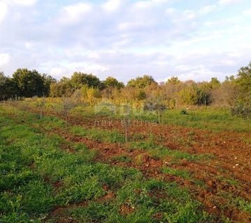 ISTRA, SVETVINČENAT - Zemljište s mogućnosti izgradnje energetskih građevina iz obnovljivih izvora energije - cover