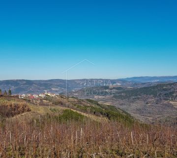 Motovun, okolica, građevinsko zemljište s pogledom - cover