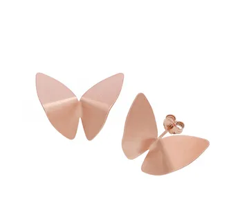 Leptir naušnice - cover