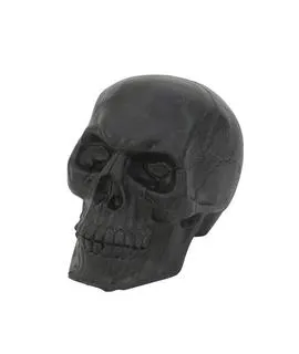 EUROPALMS Skull, black - cover
