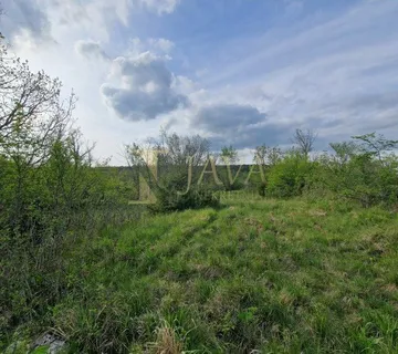 ISTRA/OPRTALJ, POLJOPRIVREDNI TEREN 10452 M2, 3 KM OD SLOVENIJE - cover