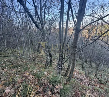 Prilika! Poljoprivredni tereni u Draguću - cover