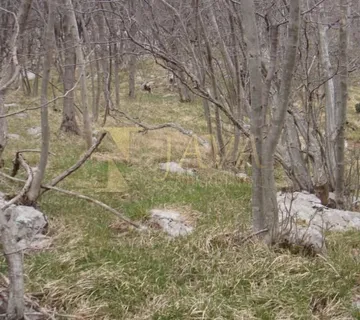 Podhum – 6.400 m² poljoprivrednog zemljišta, pristupni put - cover