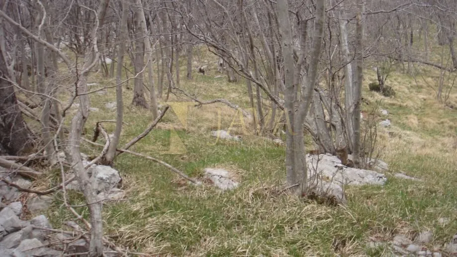 Podhum – 6.400 m² poljoprivrednog zemljišta, pristupni put - cover