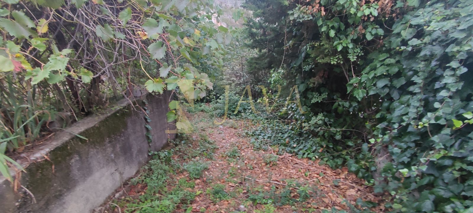 Fotografija