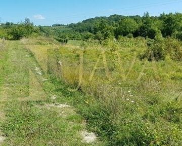 Istra, okolica Buzeta, poljoprivredno zemljište, 1.270 m2 - cover