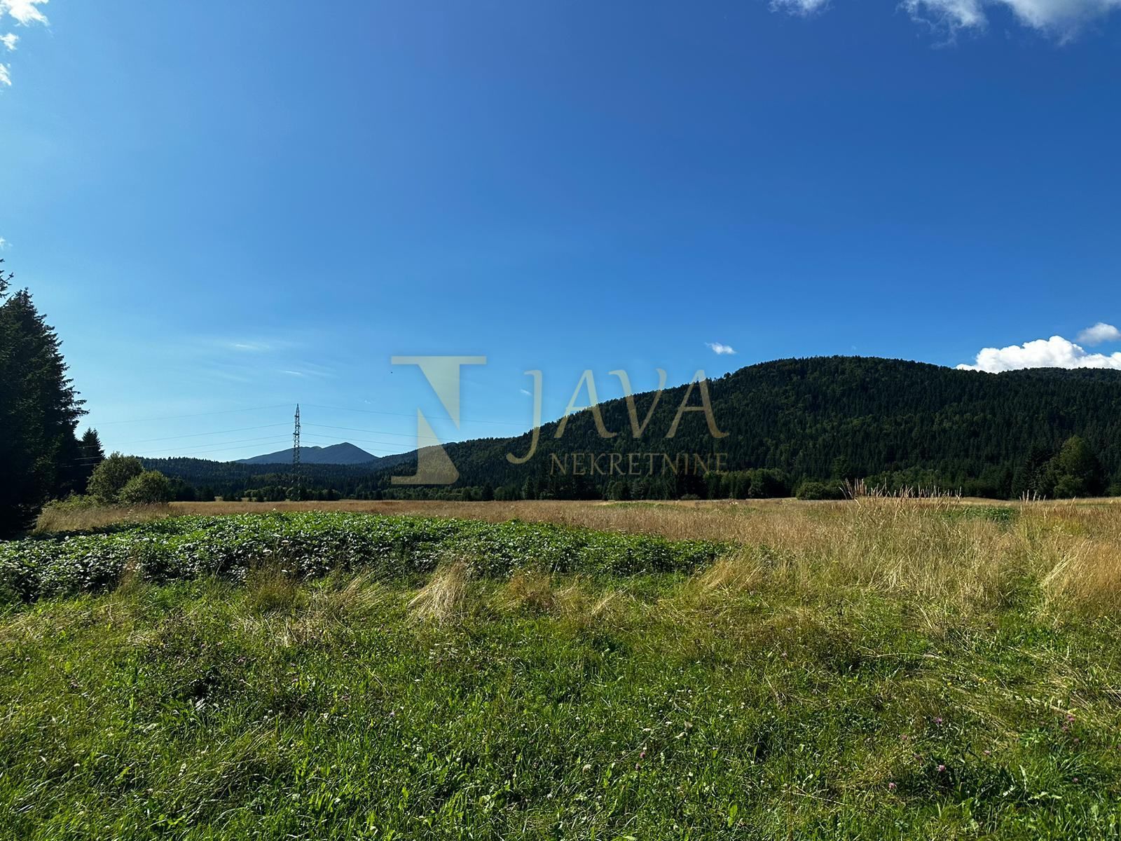 Fotografija