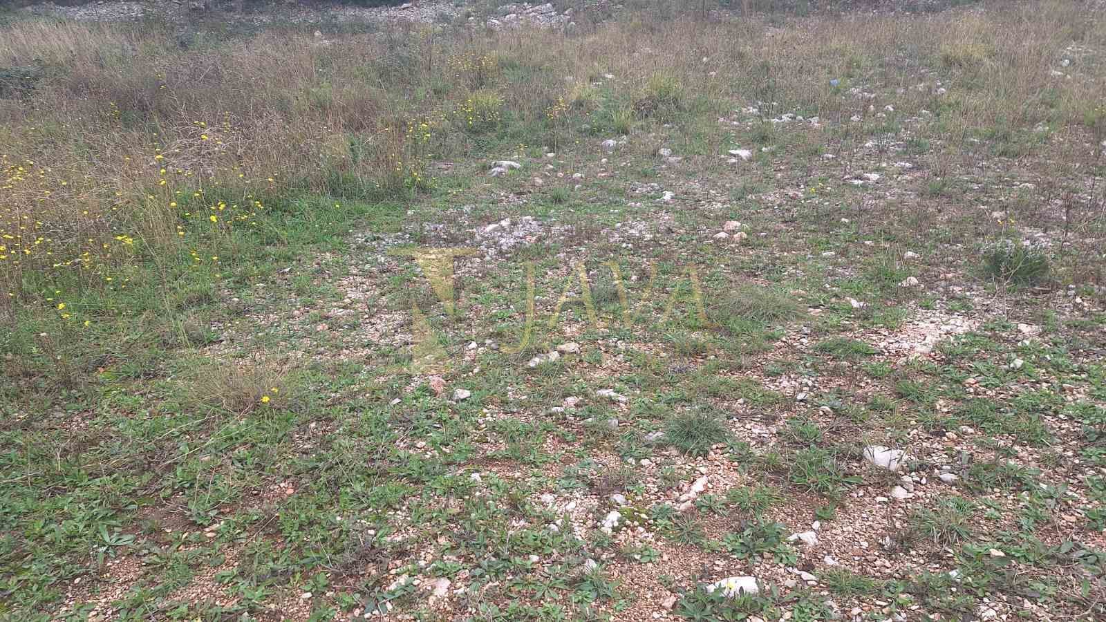 Fotografija