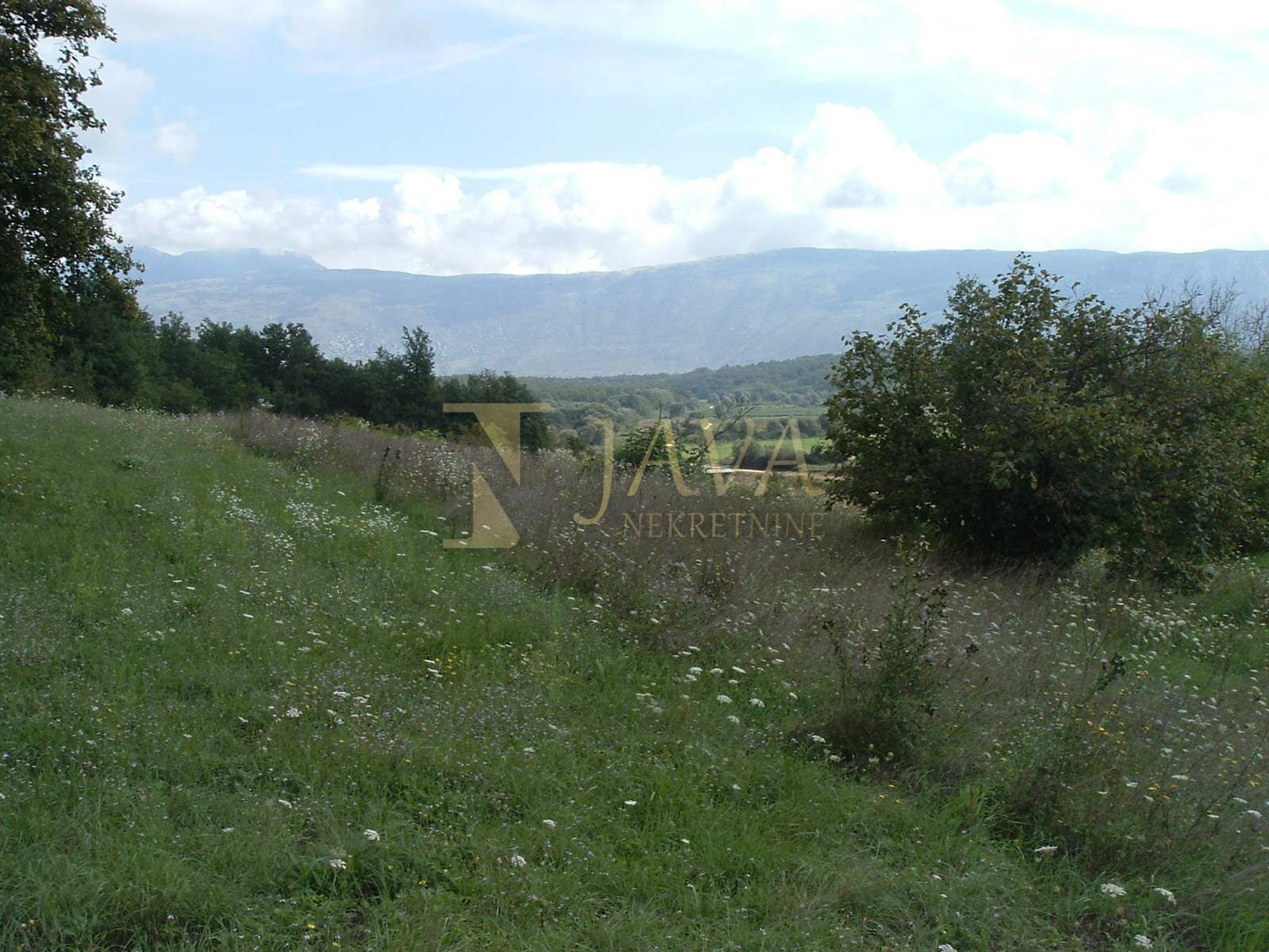 Fotografija