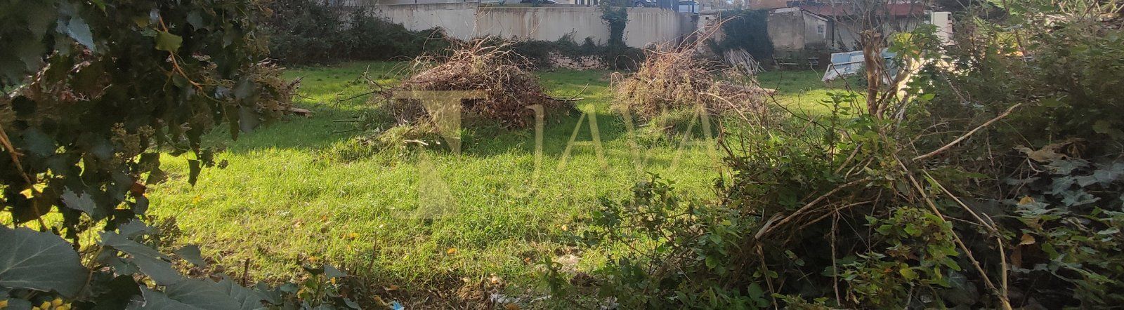 Fotografija