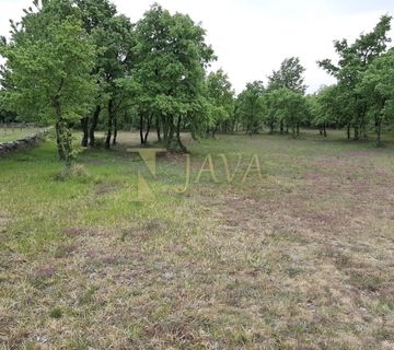 ISTRA, SVETVINČENT/SMOLJANCI, POLJOPRIVREDNO ZEMLJIŠTE 3996 M2 - cover