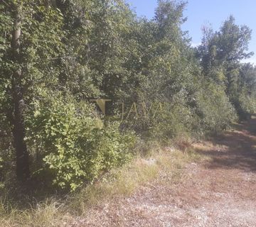 ISTRA / JURŠIĆI, ZEMLJIŠTE 16 437 M2 - cover