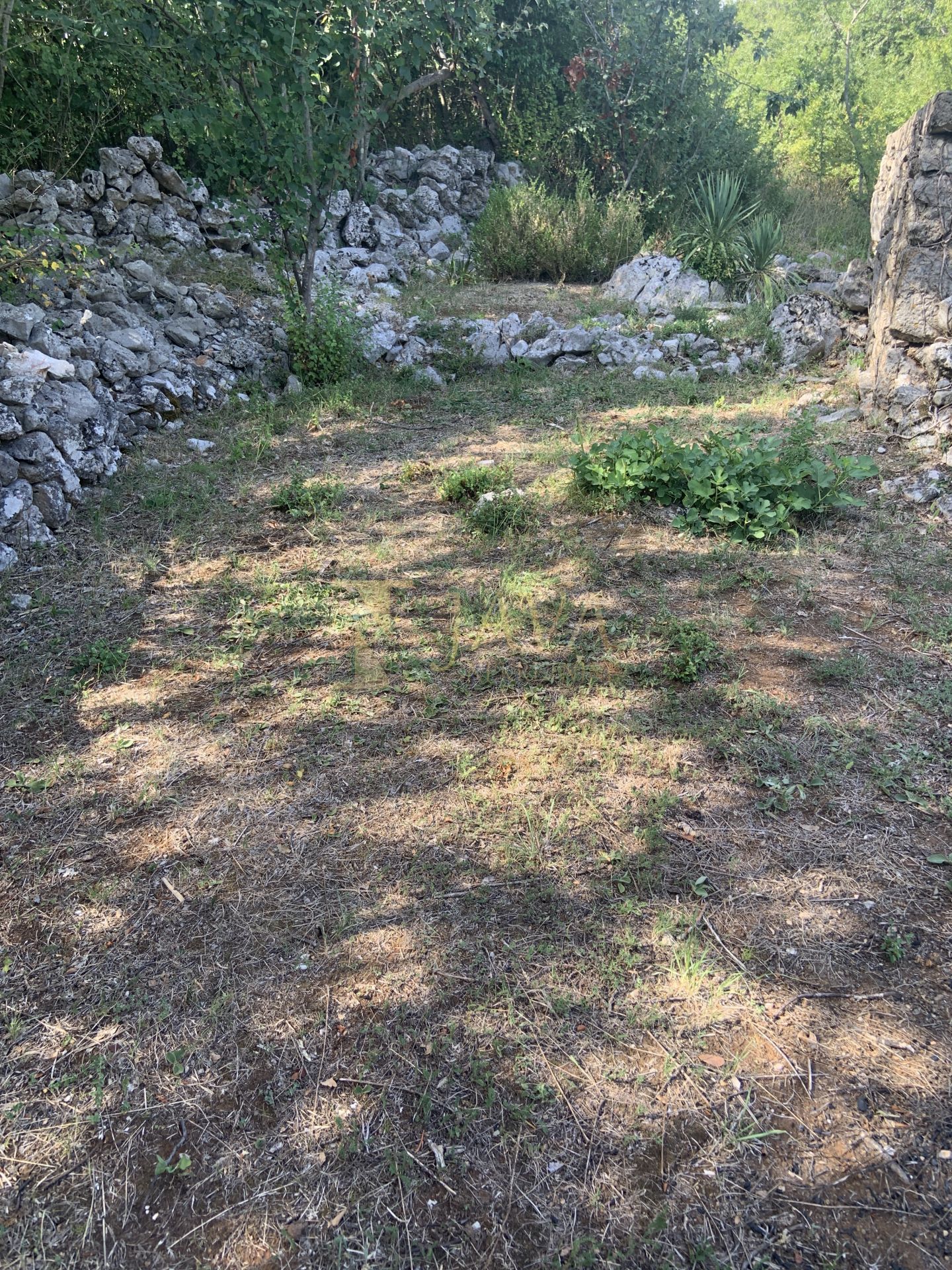 Fotografija