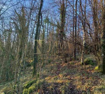 Matulji/Zvoneća, građevinski teren, šuma uz gl.prometnicu, 5.387 m2 - cover