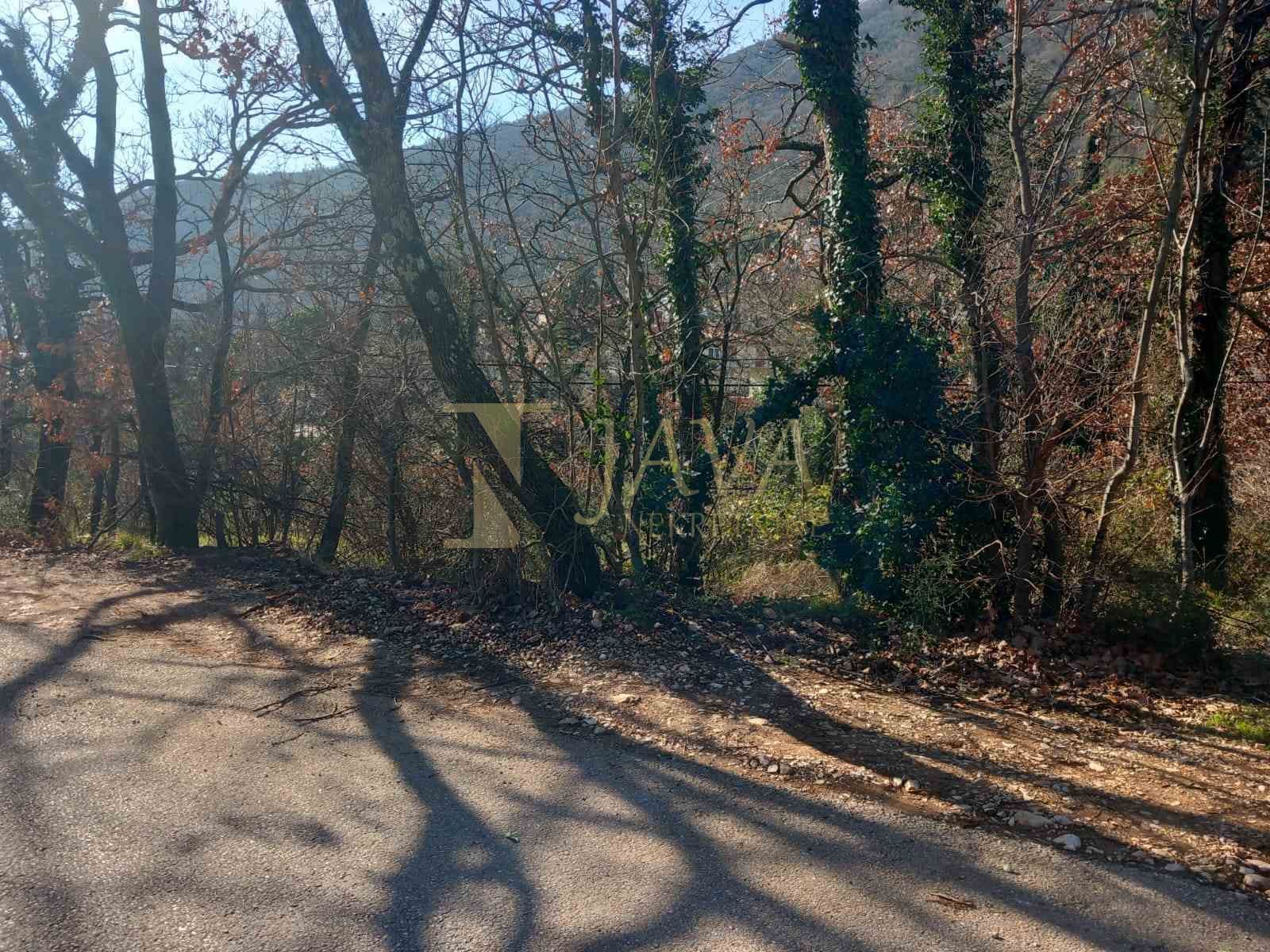 Fotografija