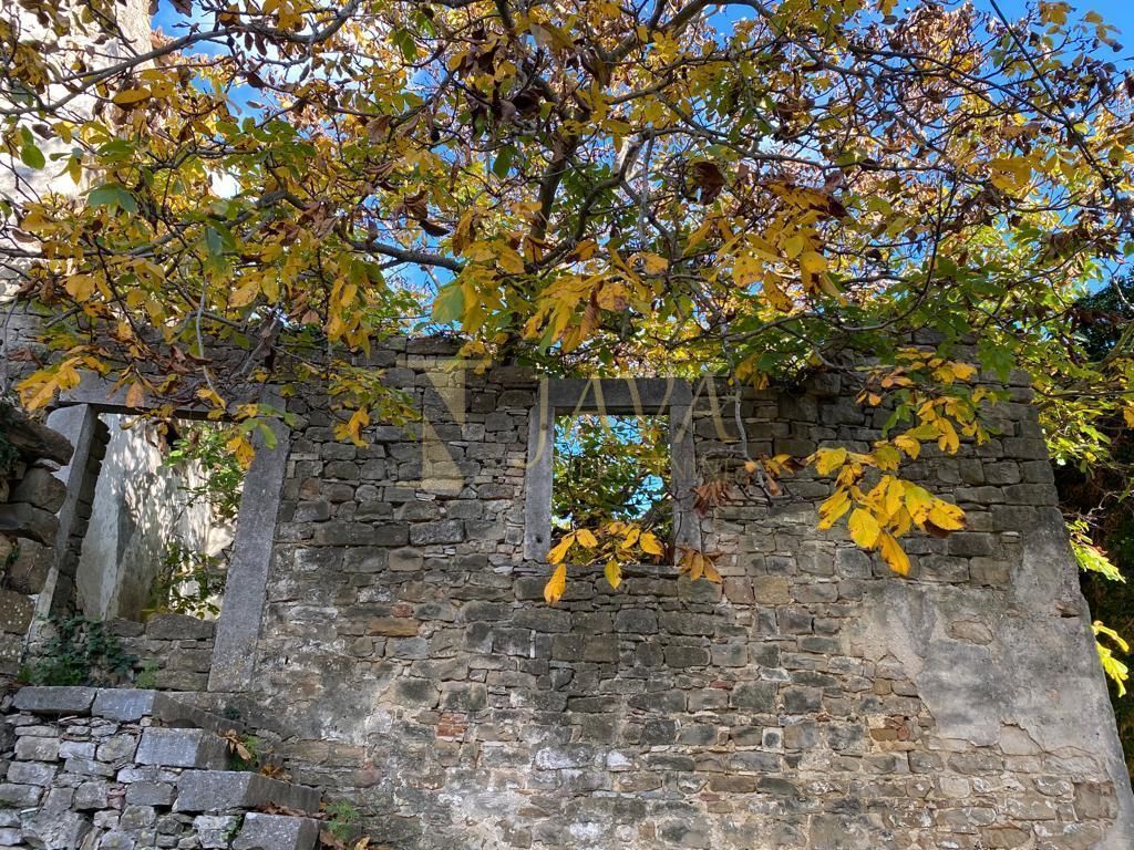 Fotografija