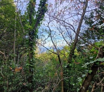 Mošćenička Draga / Haldei, Građevinski teren, 1428 m2, pogled na more - cover