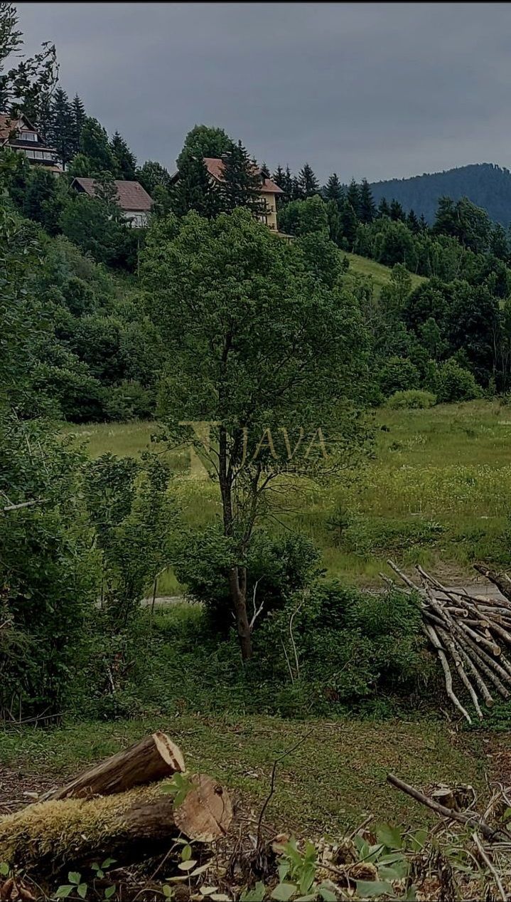 Fotografija