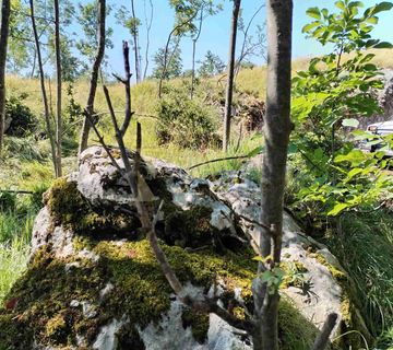 Breza/Klana, Građevinsko zemljište 2536 m2 - cover