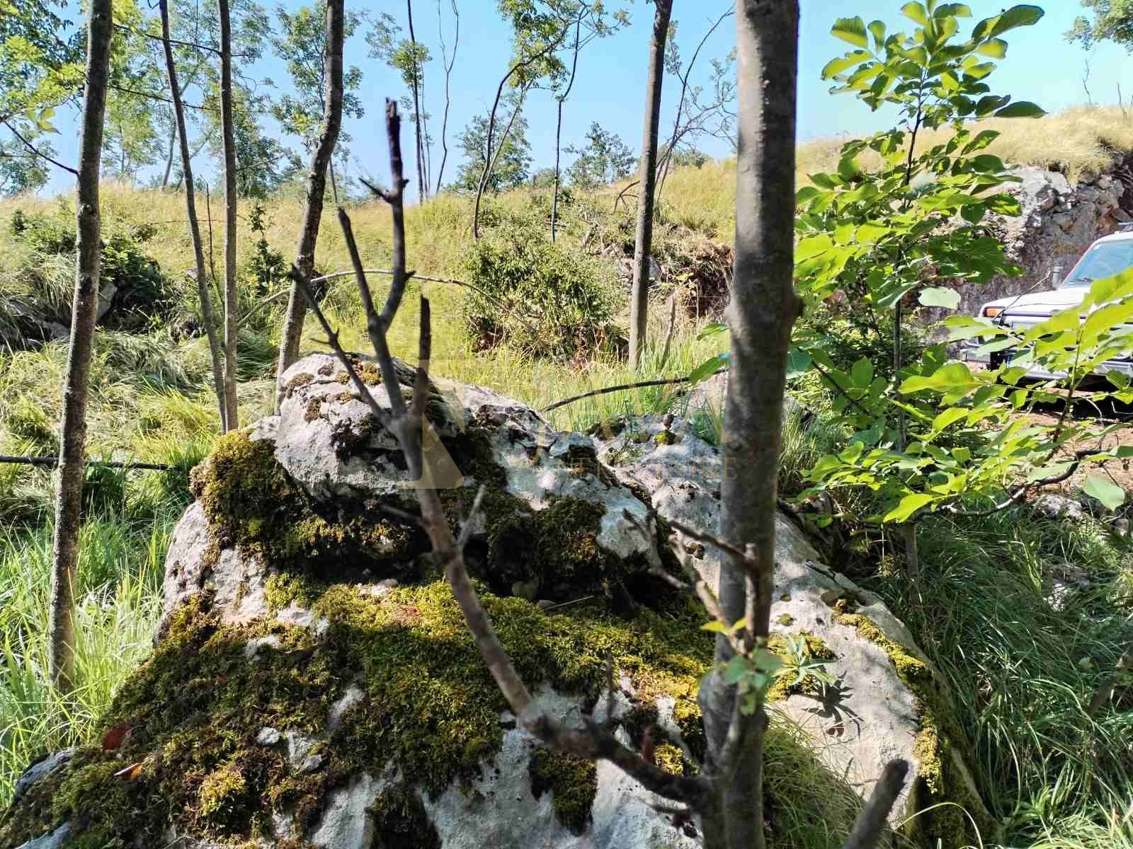 Fotografija